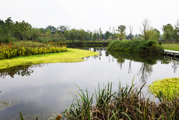 成都三道堰古镇湿地