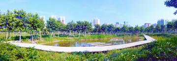 三亚东岸湿地公园风景