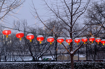 雪后的大红灯笼高高挂