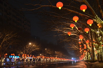 郑州春节街头夜景