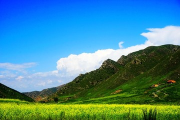 黄花沟