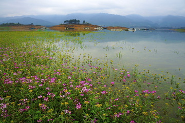 花海湖畔