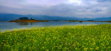 花海湖畔