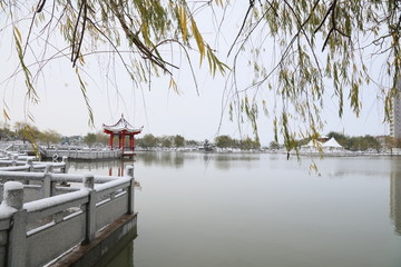 雪景