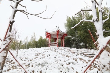 雪景