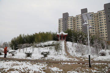 雪景