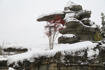 雪景