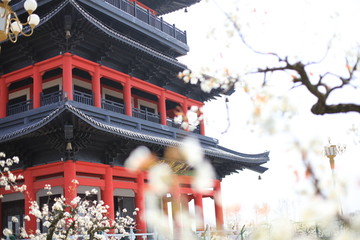 亭楼