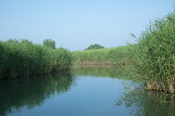 湖区