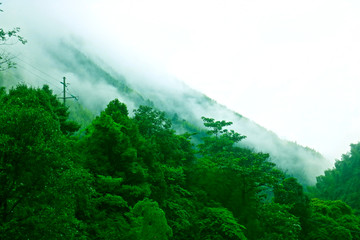 青山烟雾