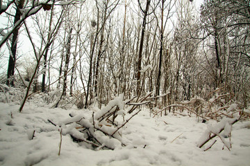 雪
