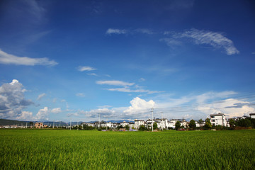 大理风景