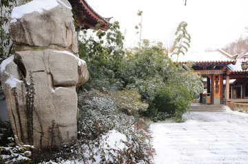 趵突泉公园雪景