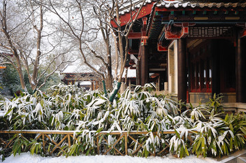 趵突泉公园雪景