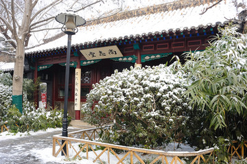 趵突泉公园雪景