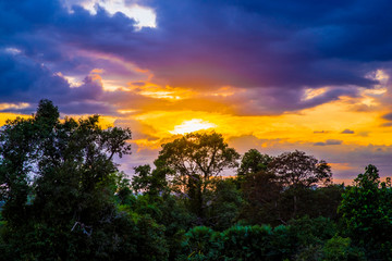 热带雨林夕阳