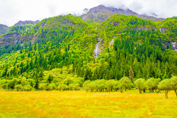 高山牧场