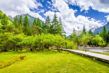 高山牧场