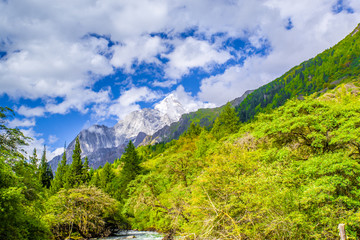 森林雪山