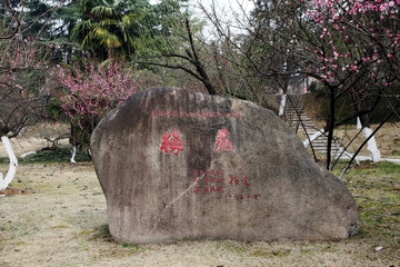 安徽农业大学校园梅苑