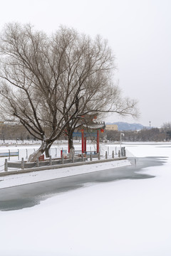 冰封湖面的风景