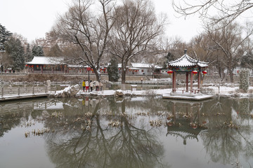 公园雪景