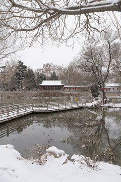 公园雪景