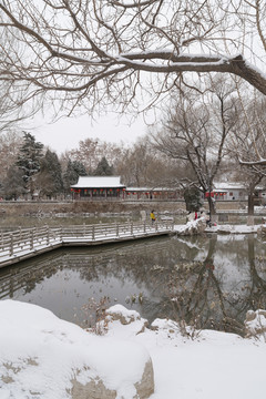 公园雪景