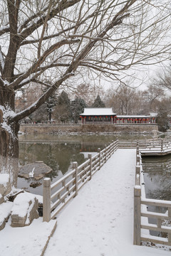 公园雪景