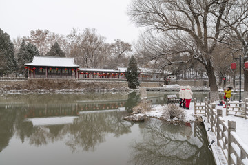 公园雪景