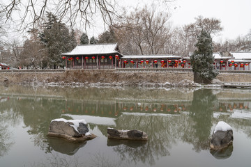 公园雪景