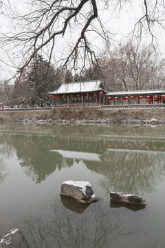 公园雪景