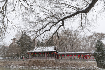 公园雪景