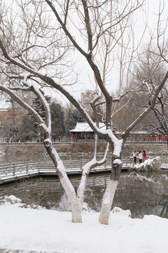 水墨园林景观