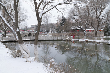 公园雪景