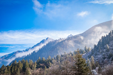 阿坝州理县毕棚沟景区