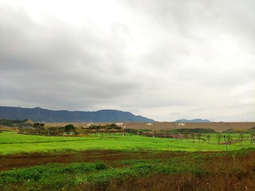 田园