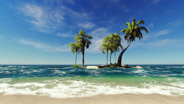 蓝天大海椰子树