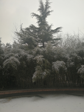 雪后的小公园