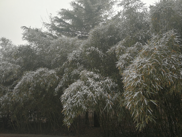 雪后的小公园