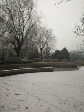 雪后的小公园