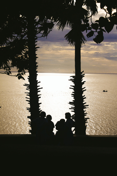 海角棕榈树下看夕阳的学生