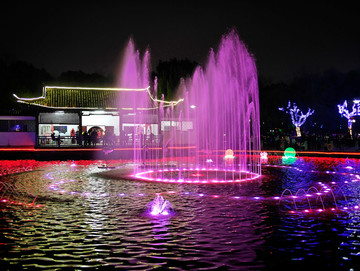 浙江兰溪中洲公园水池喷泉夜景