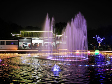 浙江兰溪中洲公园水池喷泉夜景