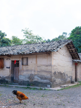 农村生活场景农家小院