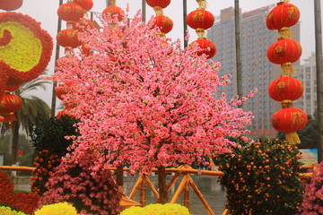 桃花