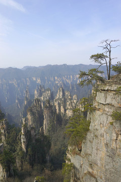 张家界天子山御笔峰自然风光