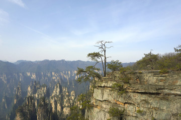 张家界天子山御笔峰自然风光