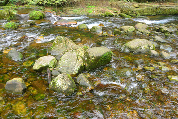 山谷小溪清流