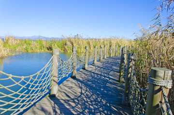 湿地浮桥